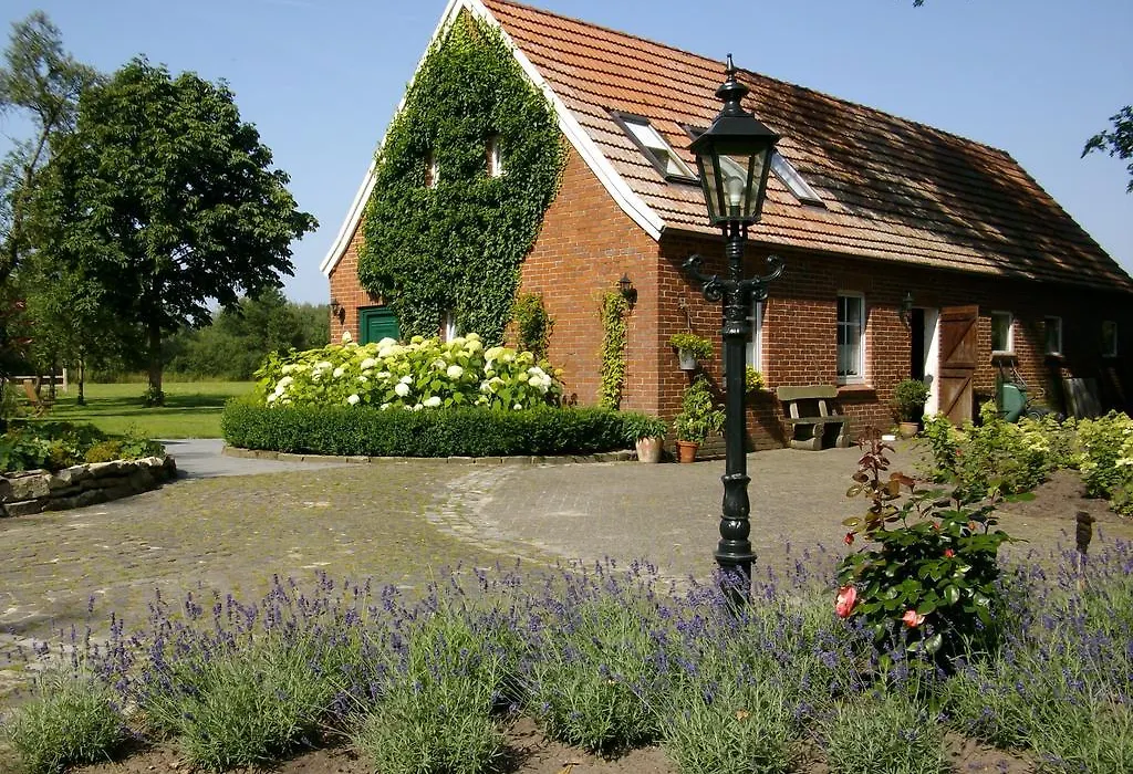 B&B Annabelle-1